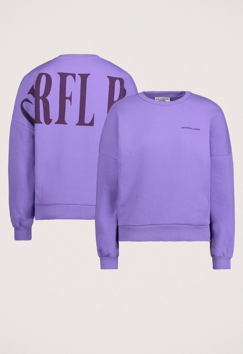 Colourful Rebel Big Logo Sweater