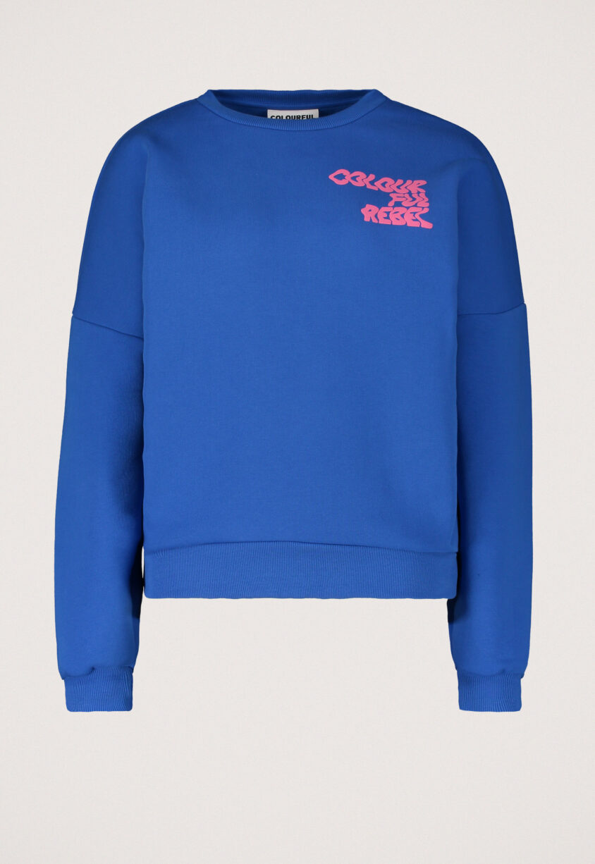 Colourful Rebel Wave Logo Sweater