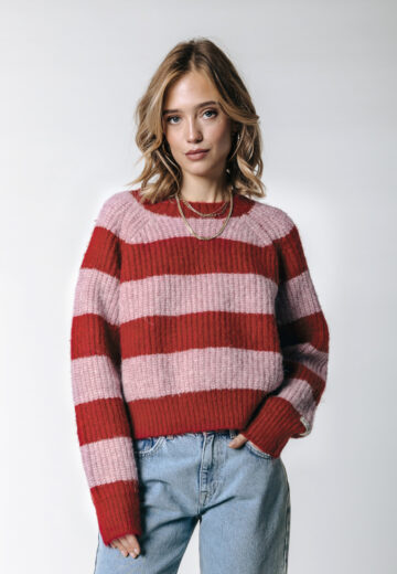 Colourful Rebel Kinza Stripe Trui