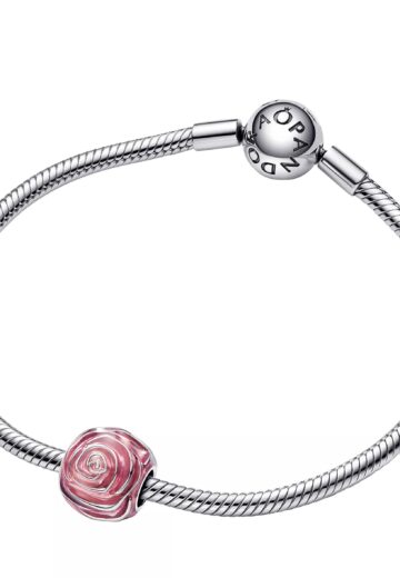 Pandora Charms - Sterling silver Enamel in silver