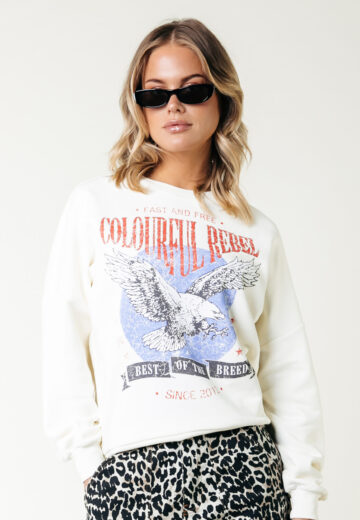 Colourful Rebel Eagle Dropped Shoulder Sweater