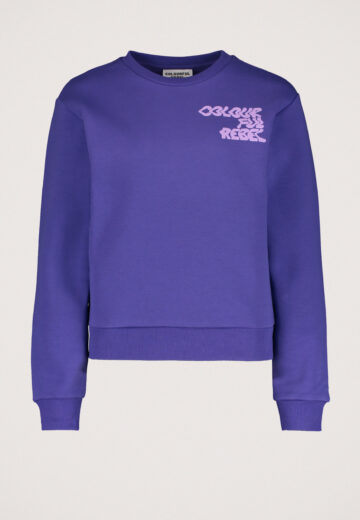 Colourful Rebel Logo Wave Relaxed Sweater