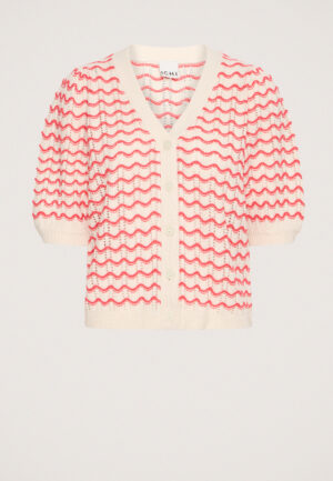 Ichi Ardina Vest