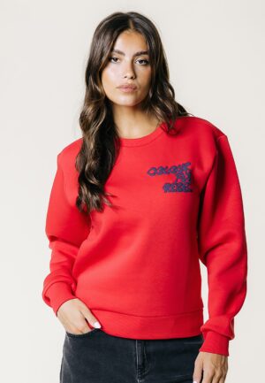 Colourful Rebel Wave Logo Sweater