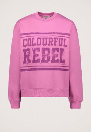 Colourful Rebel Dropped Shoulder Sweater