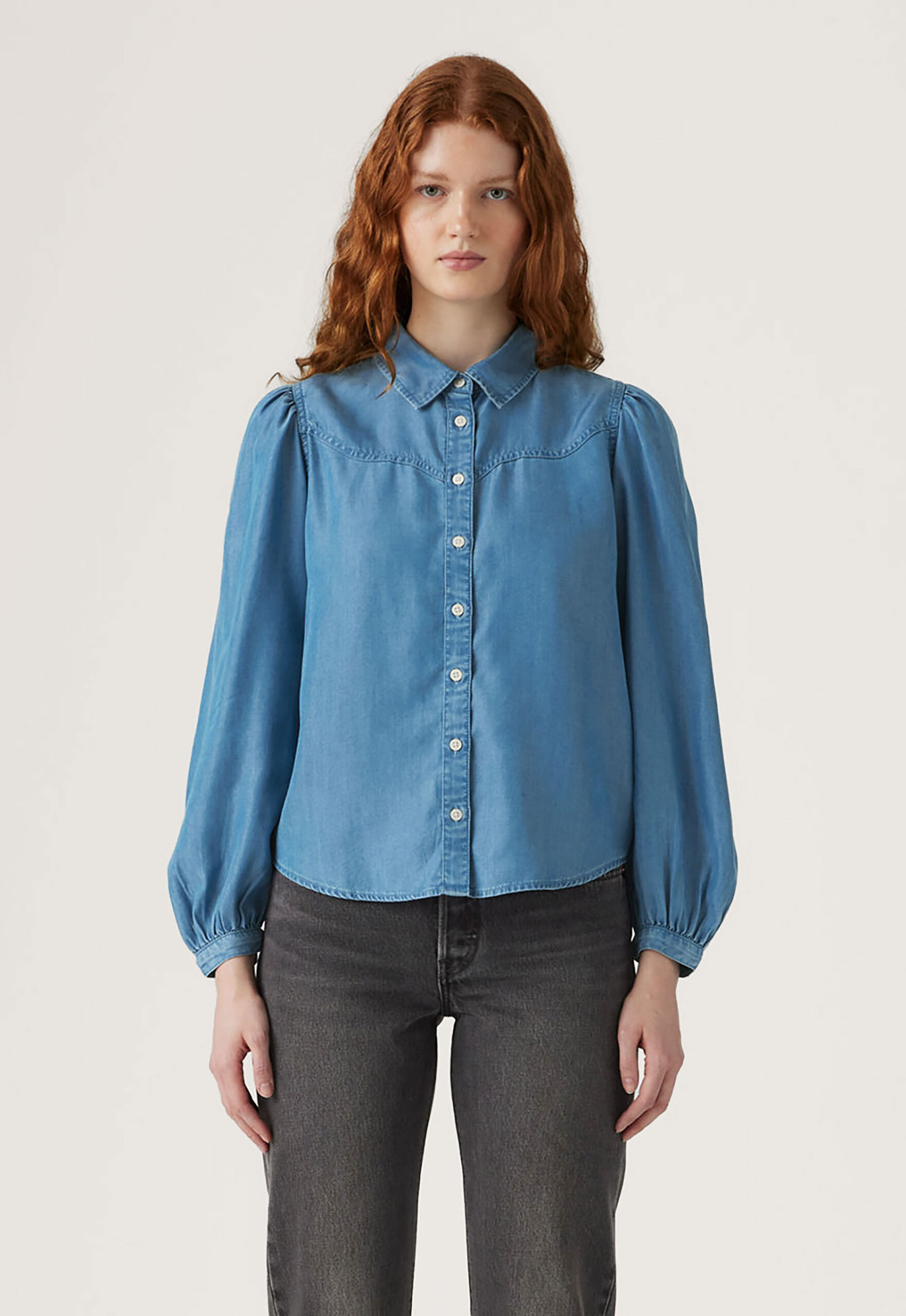 Levi's Journey Western Shirt