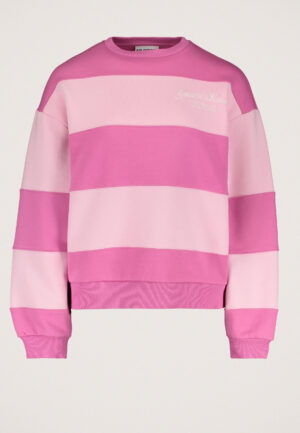 Colourful Rebel Cut&Sew Sweater