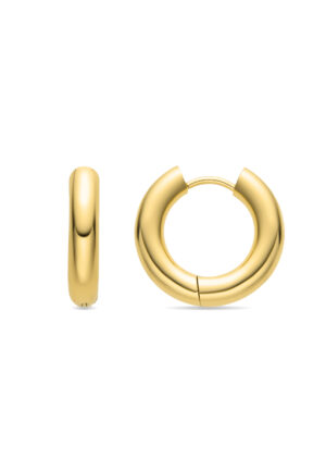 Luxenter 18K goudkleurige oorbellen - Helali