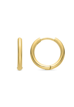 Luxenter 18K goudkleurige oorbellen - Nias
