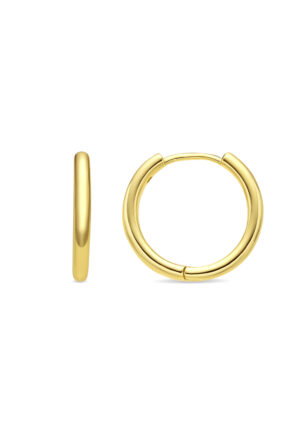 Luxenter 18k goudkleurige oorbellen - Thibu