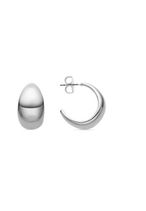 Luxenter Oorbellen met een diameter van 24 mm, zilveren afwerking - Wanisdi