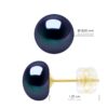 Oorbellen Geel Goud - Echte Gecultiveerde Zoetwaterparels Knop 8-9 mm - Afbeelding 2