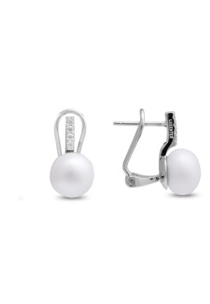 Oorbellen Herisus Zilver