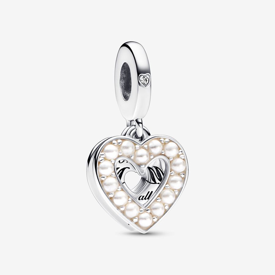 Pandora 'Familie & Vrienden' Dames 925 Sterling Zilveren Charm - Zilver 792649C01