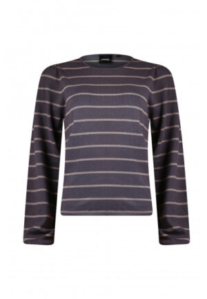 Poools - Grijs | Dames | Top | Grijs | 46 | regular | Kamst mode