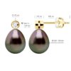 Oorbellen Prestige - Diamanten 0,02 ct - Geel goud - Echte gekweekte Tahiti parels Paar 9-10 mm - Afbeelding 2