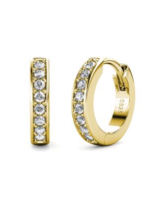Circle Hoop Earrings - Oostenrijks kristal