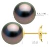 Oorbellen - Geel Goud 375 - Echte Gecultiveerde Tahiti Parel Rond 10-11 mm - Afbeelding 2
