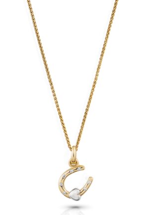 Orphelia 'Aurora' Dames 925 Sterling Zilveren Ketting met Hanger - Zilver/Goud ZH-7525/G