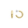 Luxenter Shiwa oorbellen afgewerkt met 18K geelgoud plating